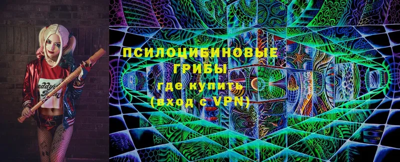 Псилоцибиновые грибы мухоморы  Ирбит 